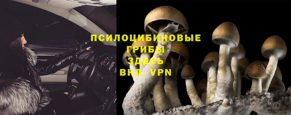 молекула духа Абинск