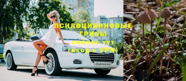 СК Алексеевка
