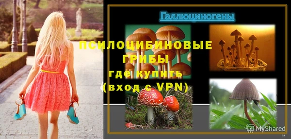 молекула духа Абинск