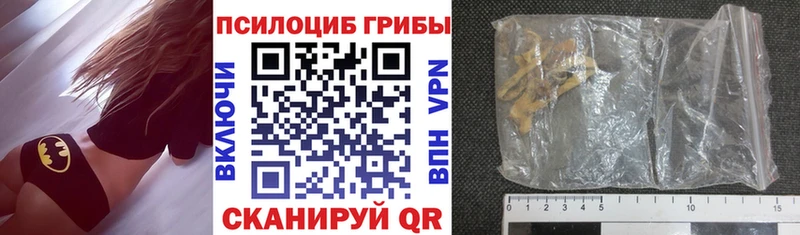 blacksprut   сколько стоит  Талдом  Галлюциногенные грибы Magic Shrooms 